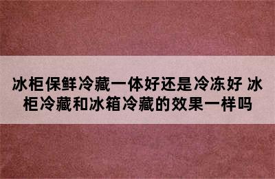 冰柜保鲜冷藏一体好还是冷冻好 冰柜冷藏和冰箱冷藏的效果一样吗